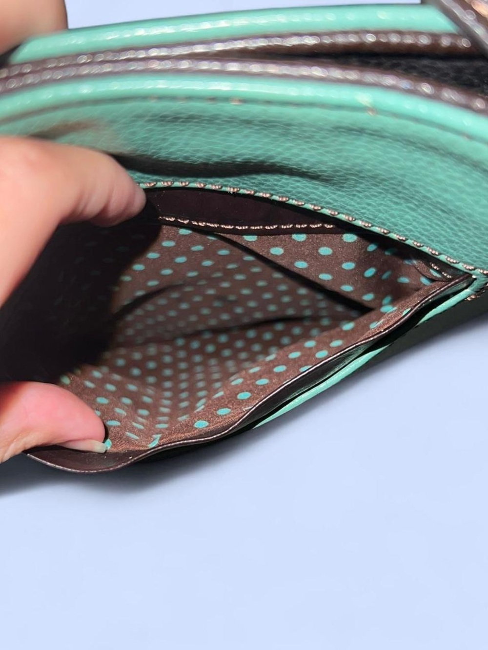 Chala Teal Crossbody with Blue Bird Appliqué - Picture 3 of 7